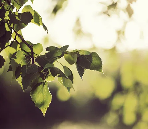 开云体育下载